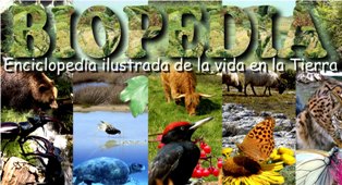 Biopedia